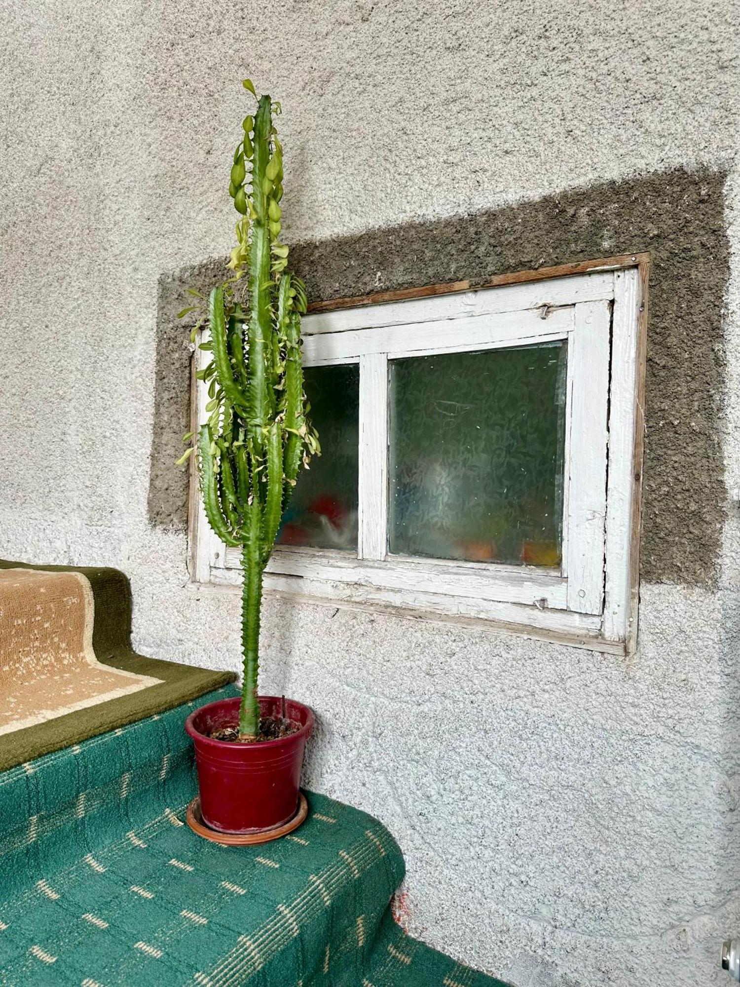 Kayyr Guest House Orgochor Exterior photo